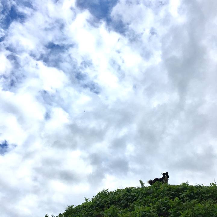 565a8122 c917 4443 8486 96fd578ba80b 1565077079681