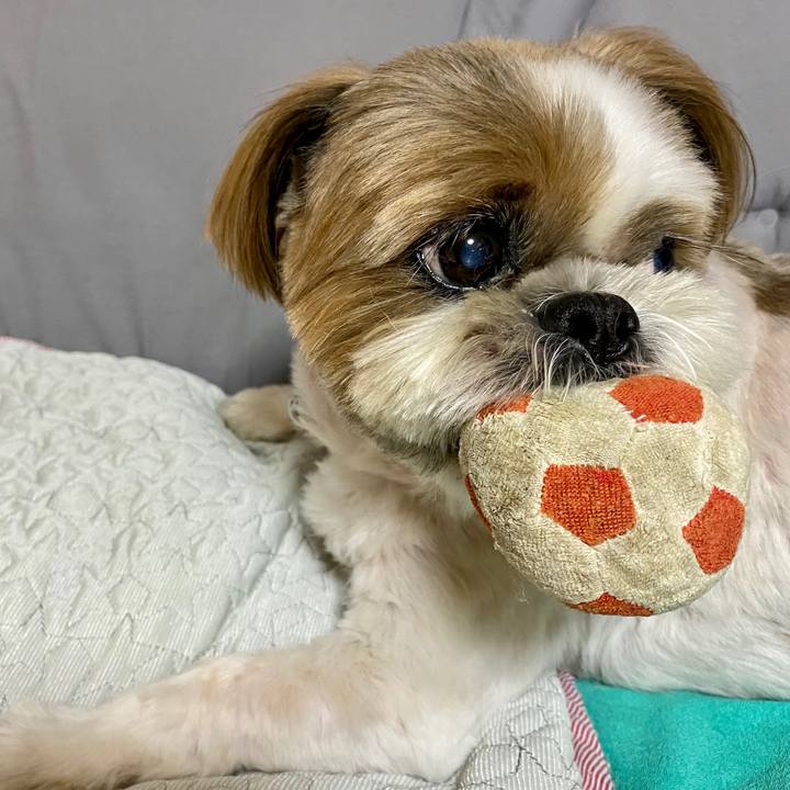 565a89fb fecd 4bec 963b 78e22c1a64ea 1600075009653