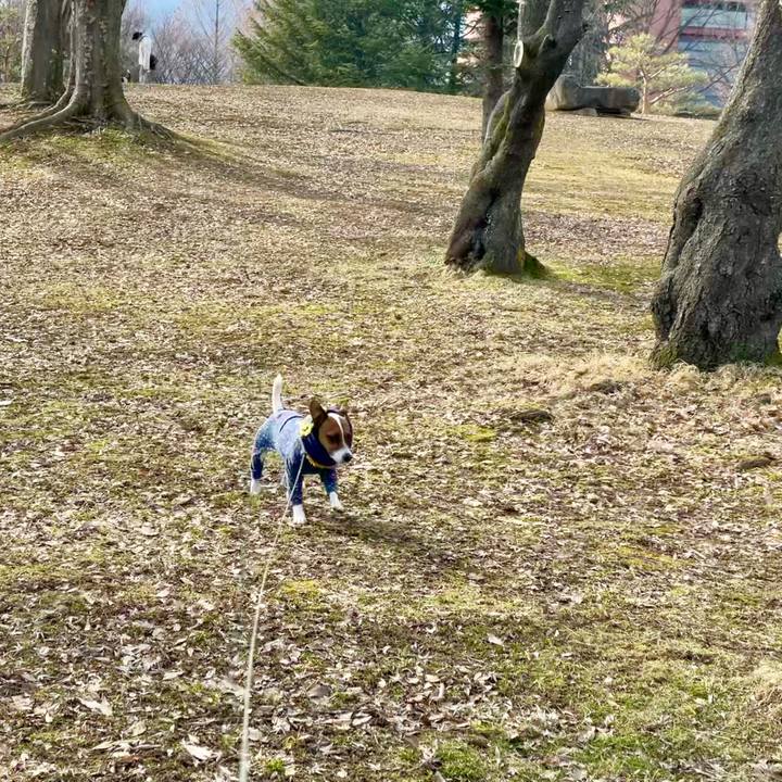 565a9188 a976 45c4 a514 0ce40cbf4e39 1646383700660