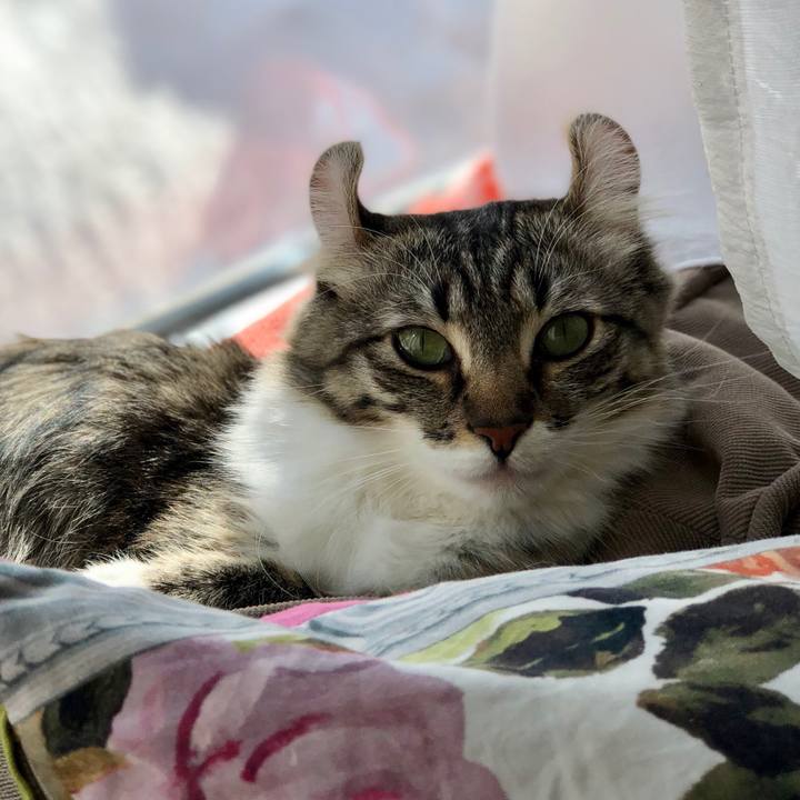 565aa0b9 2b51 4fe0 8408 ae78845fc7e7 1519788669441