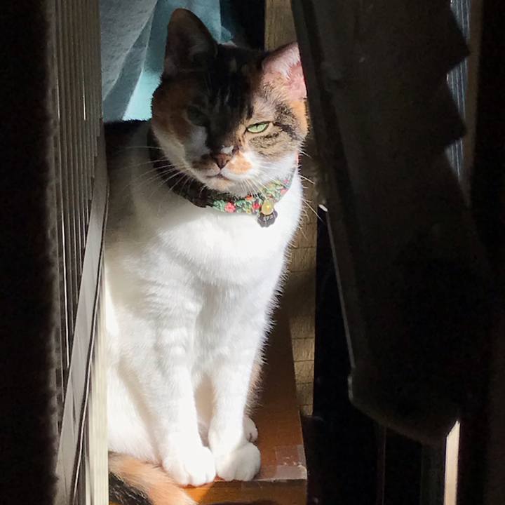 565aa6c2 f514 4269 a78e fd15a23b624e 1708964077660