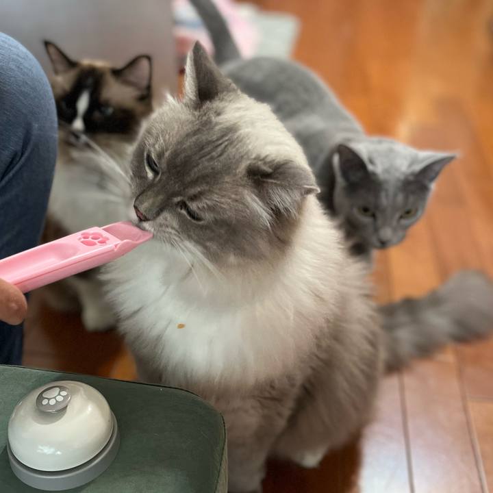 565ab4f1 4c83 4767 afdd ad13cd766c58 1662381158264