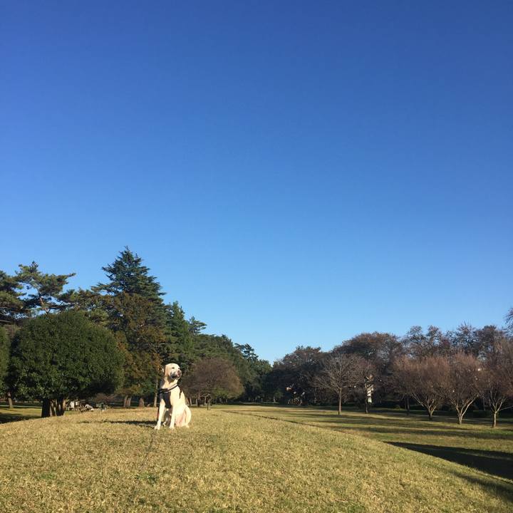 565ab670 de3d 41e7 ae7e bd26eeff8698 1573563728827