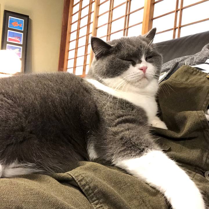 565abcf5 e703 42fc a5d9 f6b39588b3e2 1575678293500