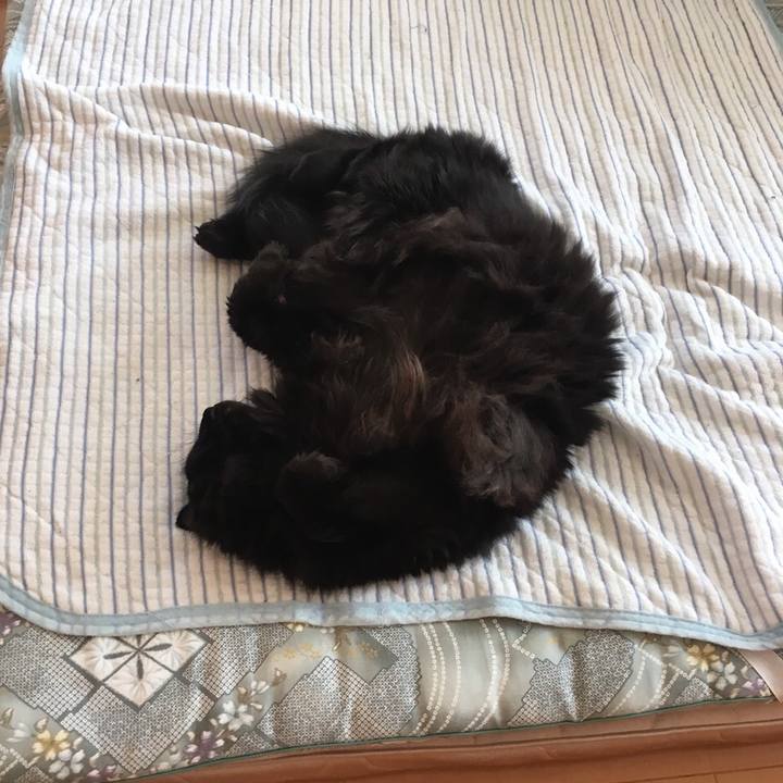 565addcb 8ae1 4b83 abaa 6dc76d3b7fe9 1543469604484