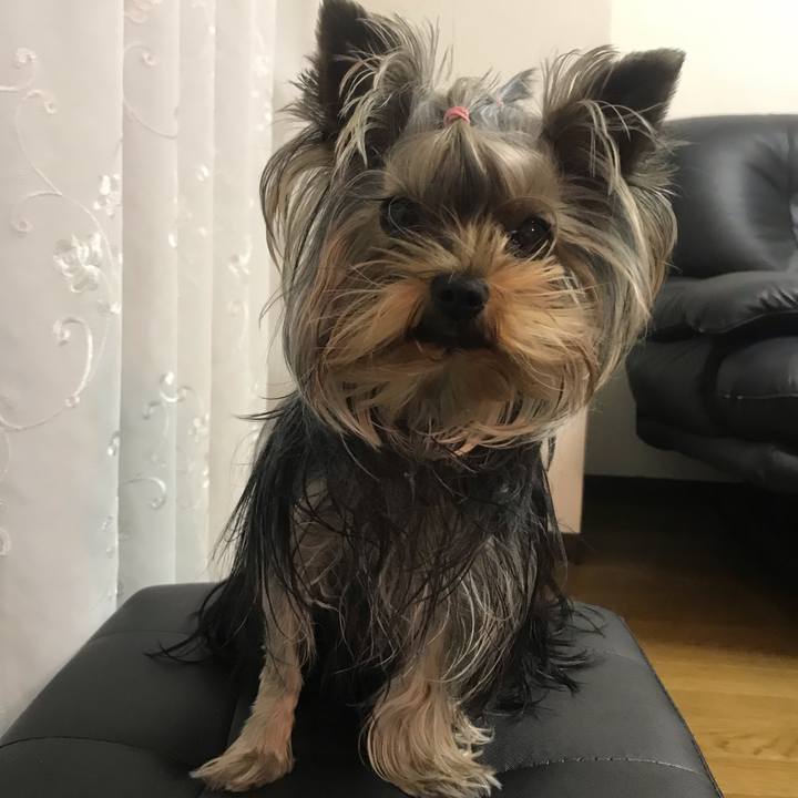 565ae6f3 41f6 4abc bcb6 d4d7ff0f4018 1638004020354