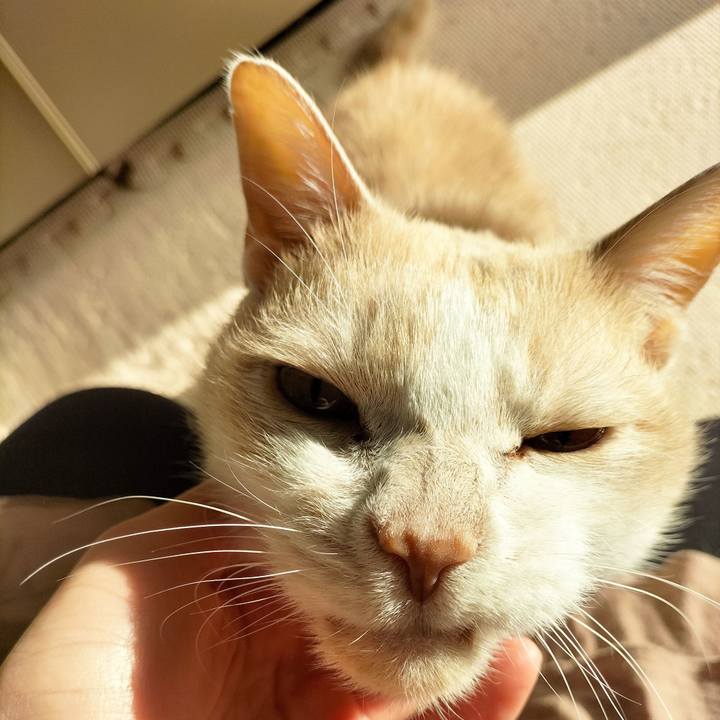 565b4655 8599 47dd 98a1 32ef1461e69f 1680128065573