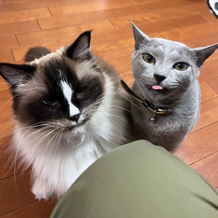 565b4e8d 3899 4b21 8683 93a6469bdc88 1691672195621