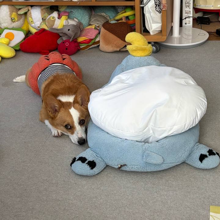 565b692f 675c 4c34 8b8f 8f0d44062262 1761782028895