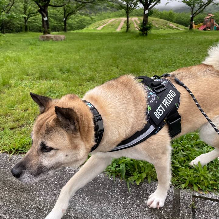 565b7da6 1a01 4a5b 8e70 4817f7aafe18 1714997818788