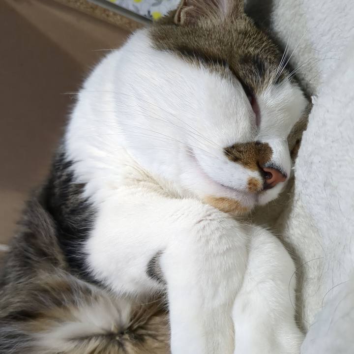 565b8088 ca2a 49b2 ac89 2b0946c7c6fb 1685330102406