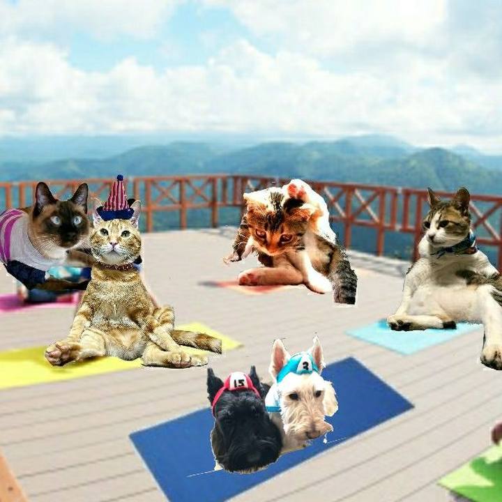 565bc016 d883 41e1 8fab 6ba8bbf97406 1525344482674