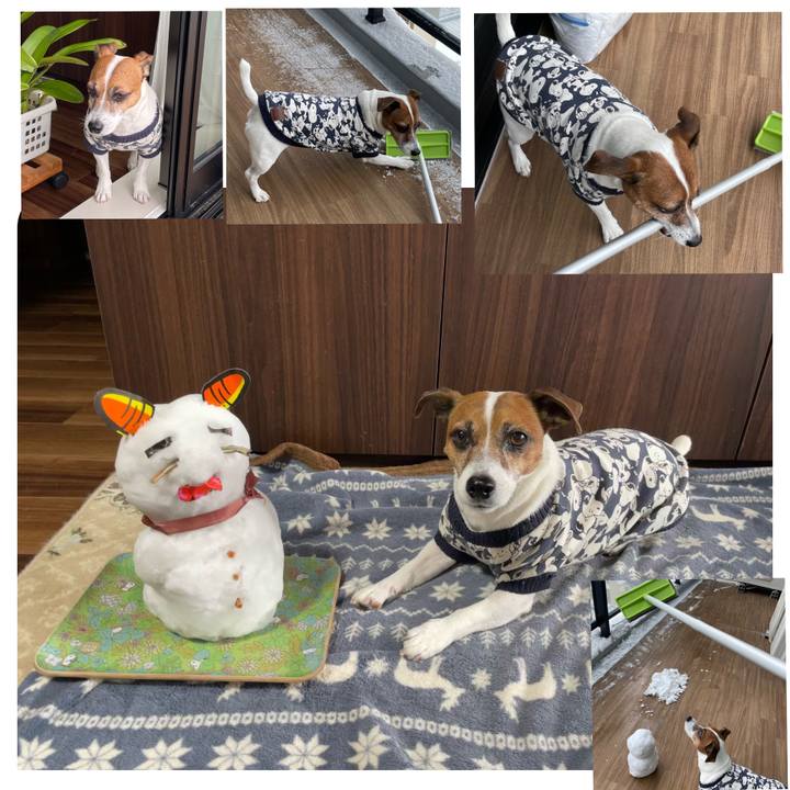 565bcc91 b07c 4679 8041 665fe773e189 1738985550683