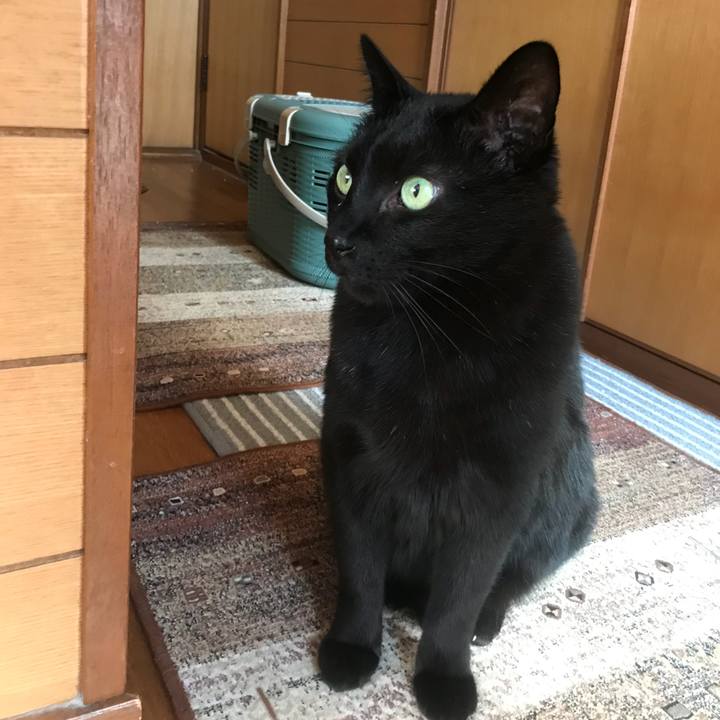 565be389 8fb8 4ded ab1b 93fb225a4c12 1521853217875