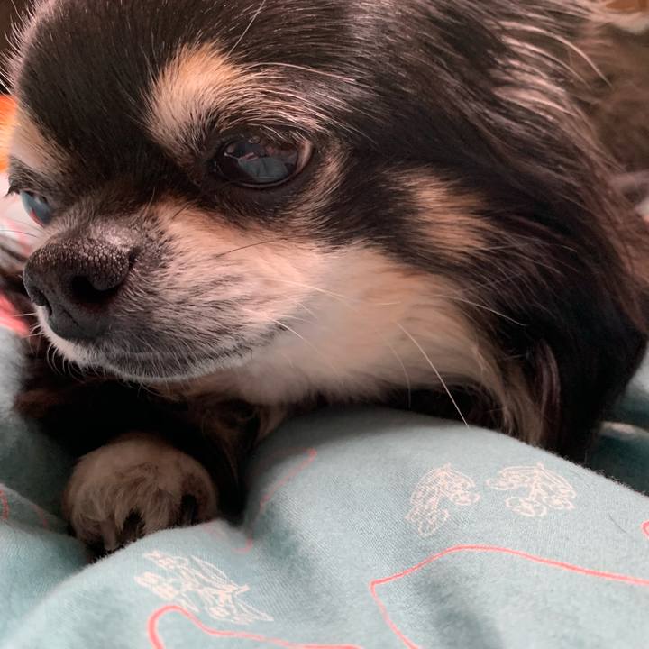 565c06cf b6b9 4d37 a82c 7130b5a62606 1555485452279