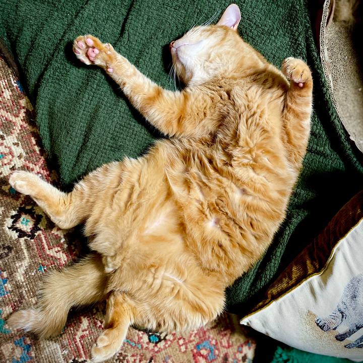 565c3183 8ac3 4cb2 949b da38db02c0c9 1732748552383