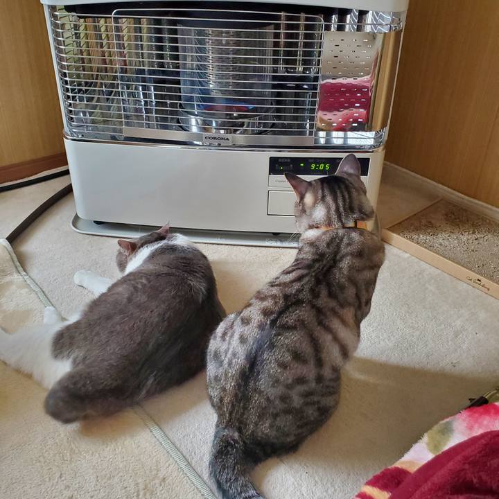 565c5d93 0314 4cb0 83ac 5a3f82e50f7d 1695907983159