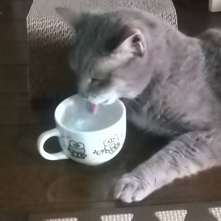 565c6d1f 2b7c 4b50 af59 4c3817f74b71 1689222358972