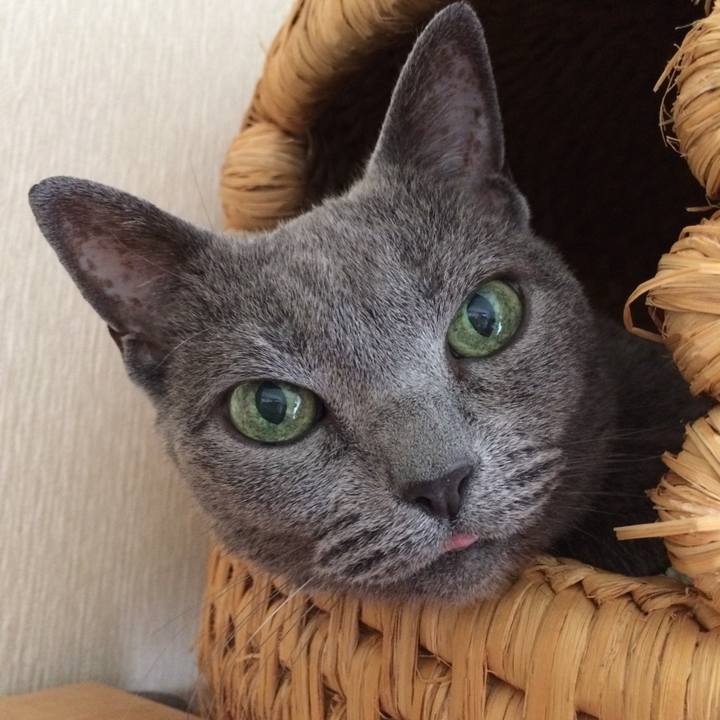 565c761d ac0c 47d0 8c75 23d62f3fc4c6 1529808008716