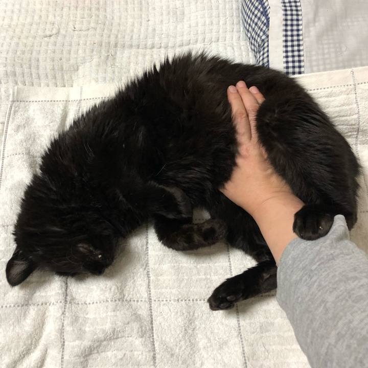 565cd1e1 528a 4b7e 823f 70bf7e85c9a5 1593435001444