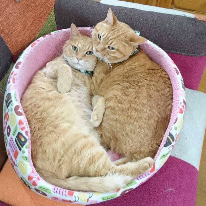 565ce882 f9a3 400e 9a90 a9a07ca14be5 1562768427861