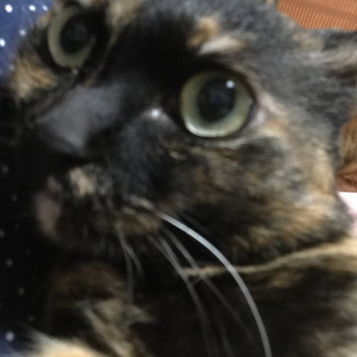 565ce8c8 0810 40c8 b79d 8e711a10908c 1588850568128