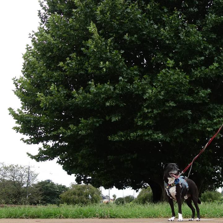 565d1653 7fe3 4342 8058 9f5042e91f40 1725322741334