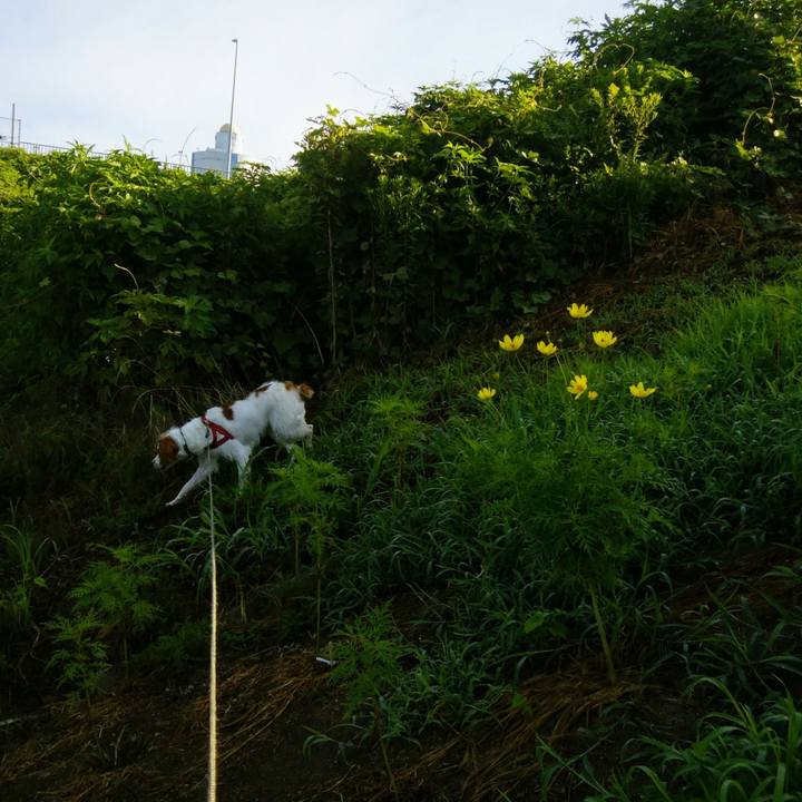 565d56d0 9add 435a bf9c ab93700ec8af 1534568140713