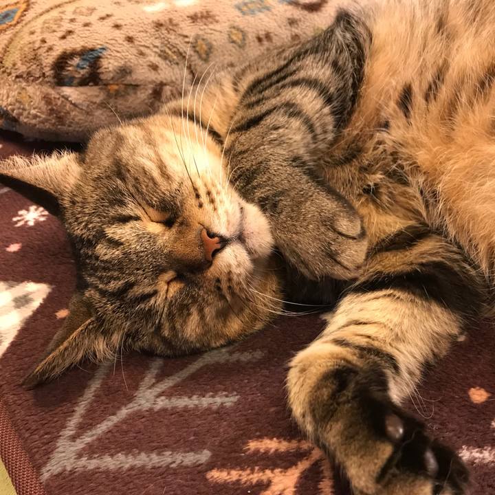 565d5944 e01e 4fd5 96fe 3608652659e9 1559535747463