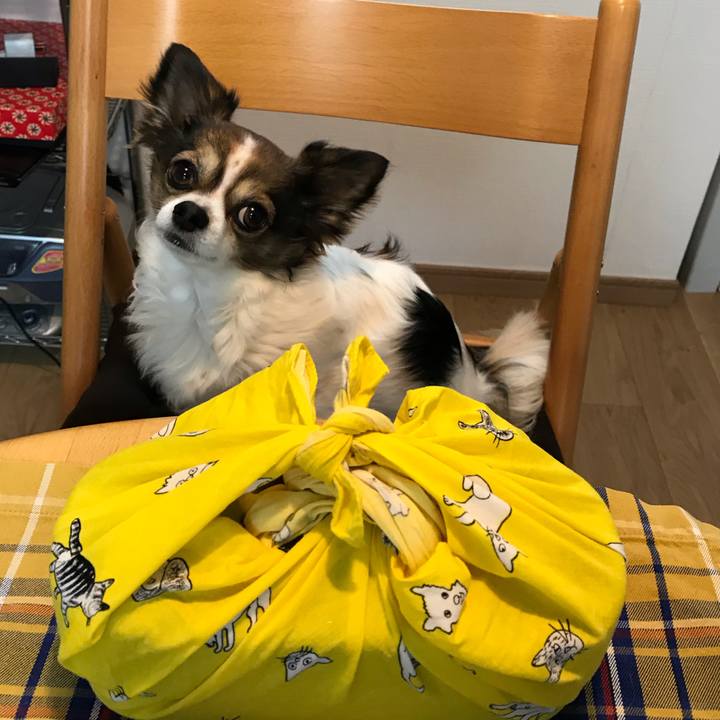 565d75b6 bb0f 4767 a8ec 618aa44bc468 1551743532942