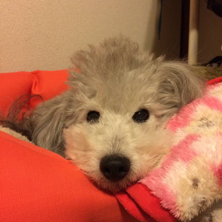 565dc078 4a67 4bcf a635 c13f15ef96a3 1511395075474