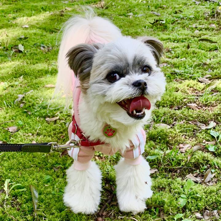 565dc1d7 a782 4a93 ad08 367fdd747f0a 1588152667531