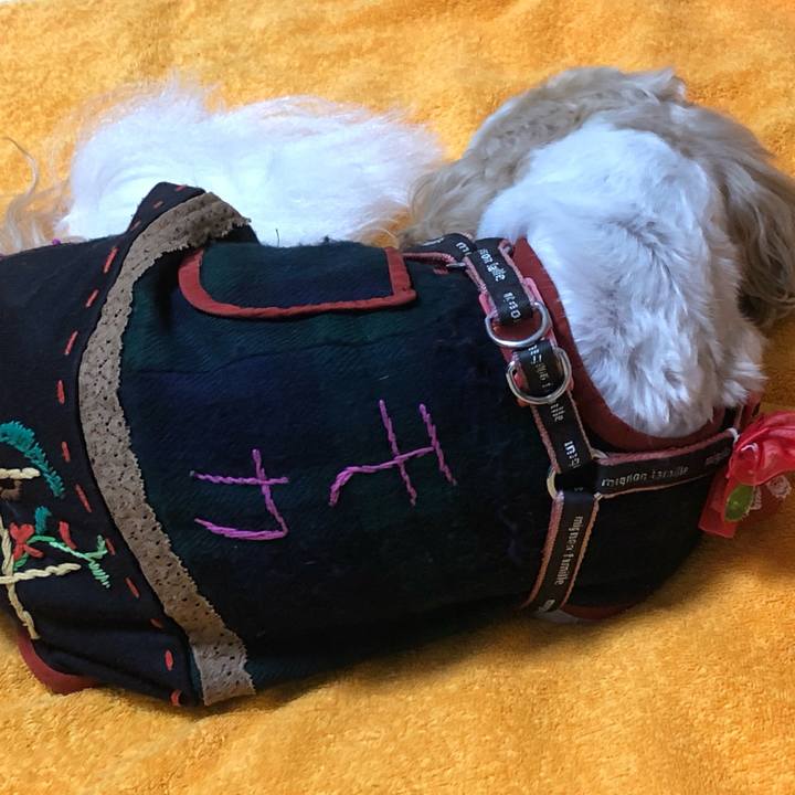 565e010b b740 4a7d 8af1 8016e27539de 1631223965748