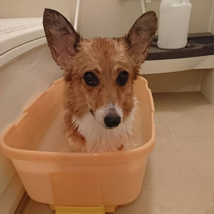 565e1eb1 cf59 4d74 8f1b 7fc886010945 1538742459195