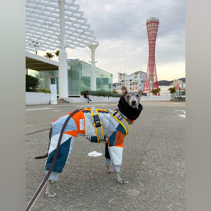 565e2328 2a42 41e8 99d7 37afb19a9c04 1772620520185