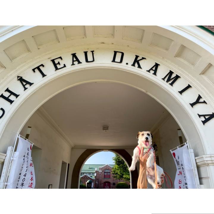 565eb2a2 842b 4475 8582 7d594c5c24fb 1683203065187