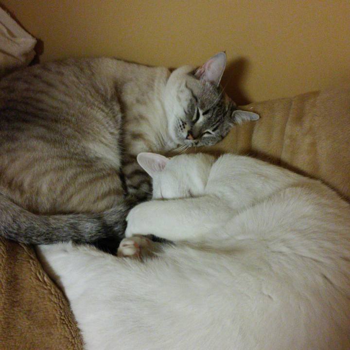 565eb816 c663 4ec3 b9f0 3a490dcb2c9d 1516546302576