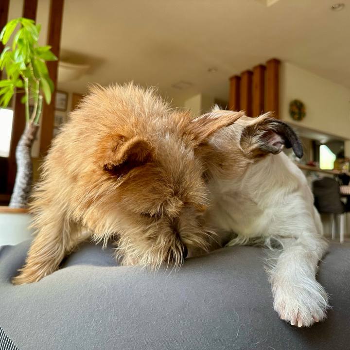 565edb30 d775 4a6f 8b73 1a206671b529 1714012277239