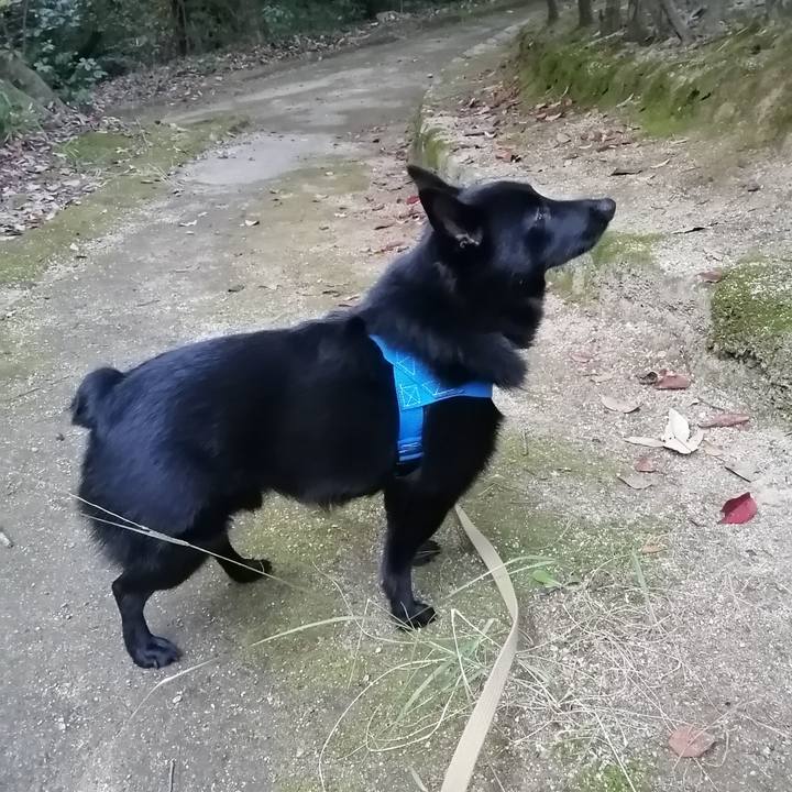 565ef180 31bf 49cf 8c80 a4005a3a6828 1605220447849