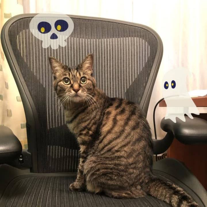 565f5ead 199a 46a9 a58d bfdddf5973b3 1761434422535