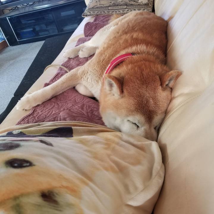 565f9fbf 6977 4a6d a5a9 5e5f45427333 1714260243117