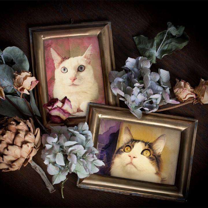 565faa92 4491 41a8 962e cea9ff155553 1511670591433