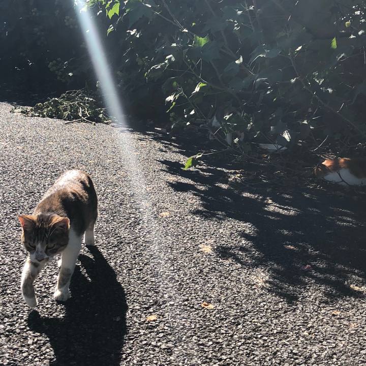 565fbc2e 95f4 4d77 be50 baede6c2027b 1541327427429