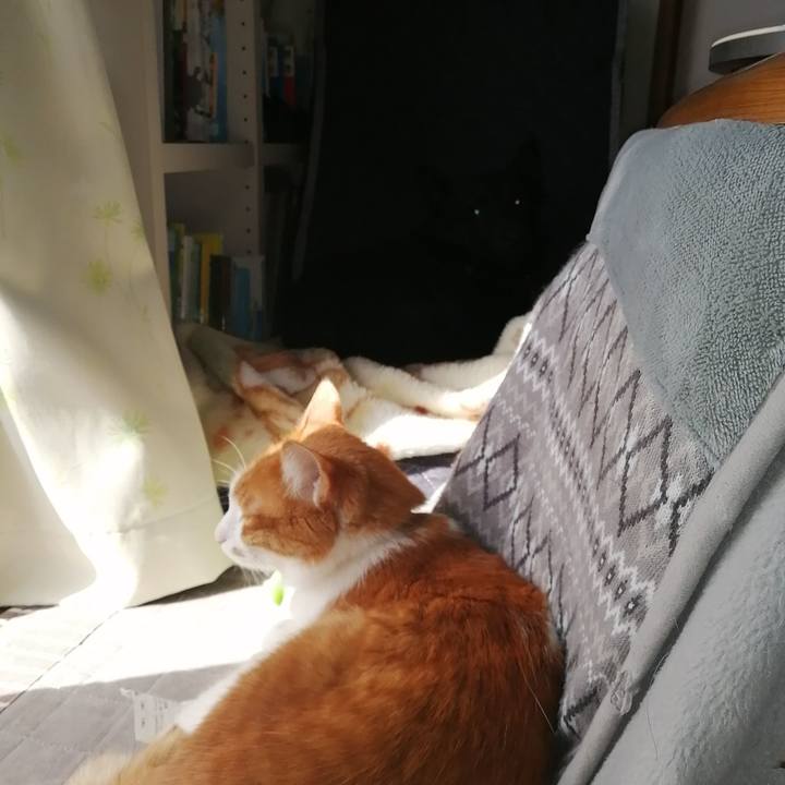 565fbd65 c3ff 46d1 9dad e28008591851 1613871481764