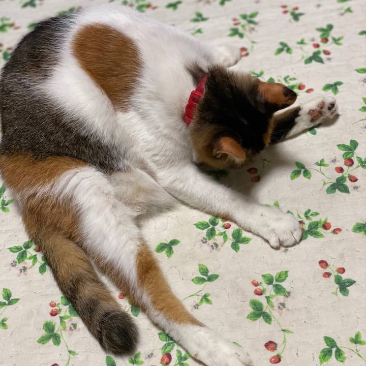 565fe4d9 4c6c 4b1e 8e58 8e309291bf9e 1597064331530