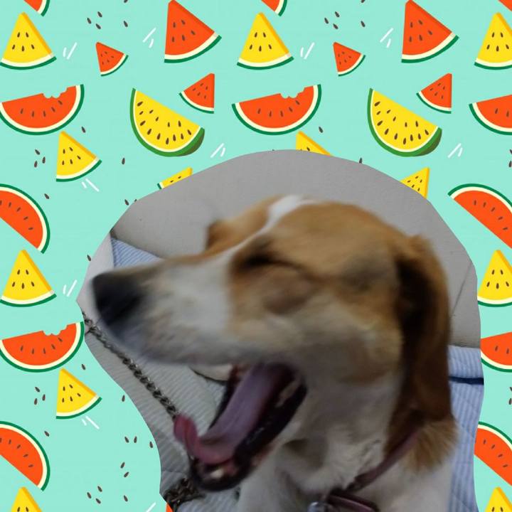 5660013b aaf1 4b7a 9d71 34ed6659fef2 1591859779551