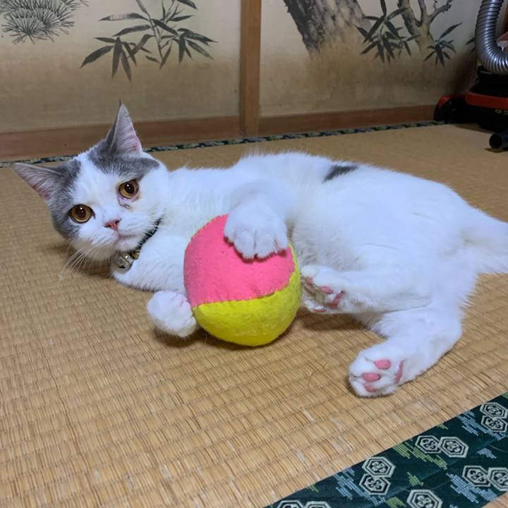 56605b8a ab5e 47ad 8919 167c0e62eb22 1691906952645