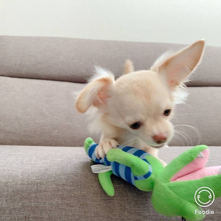 56607807 6956 4360 8c71 db4d5a5b03c8 1603433729920