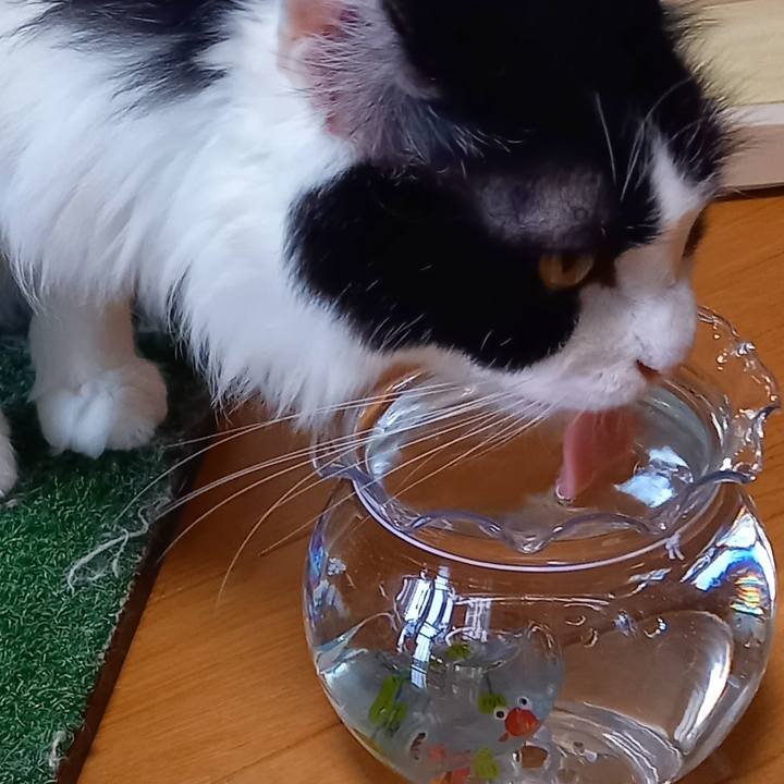 5660921a 849e 4321 b713 b35a353f0ad6 1623496279548