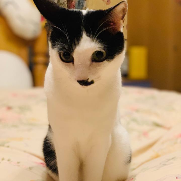 5660958e cbd1 45fa 9d53 3de800deaed2 1566654527606